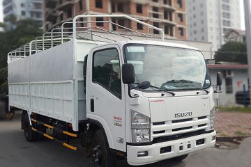 Xe tải ISUZU NQR75M-5,5 tấn